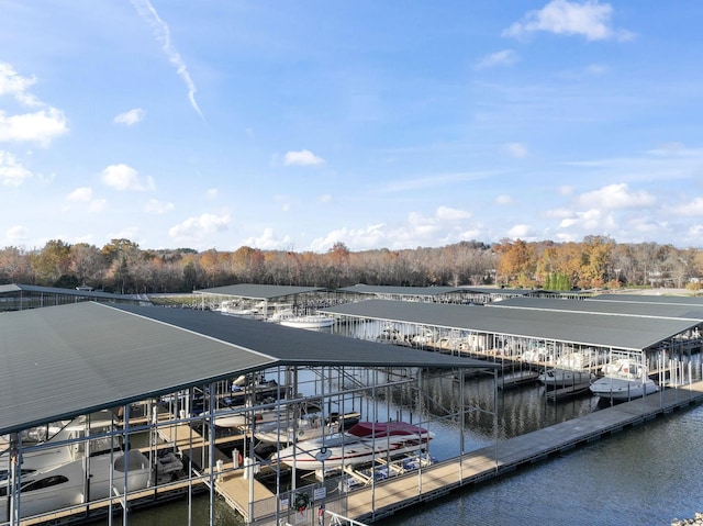 dock area featuring a water view