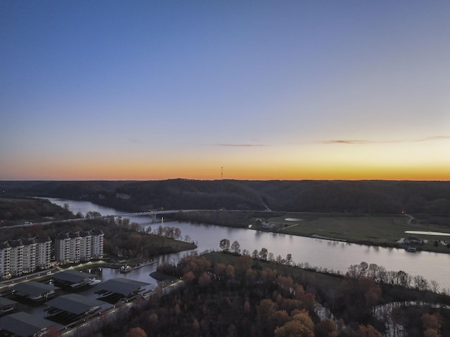 property view of water