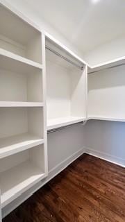 walk in closet featuring dark hardwood / wood-style floors