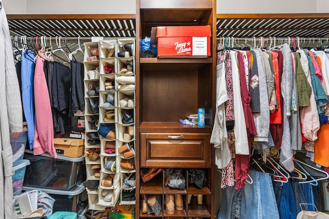 view of spacious closet