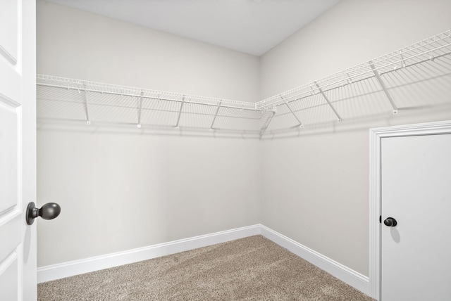 walk in closet with carpet