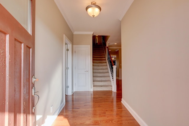 entryway featuring light hardwood / wood-style floors and ornamental molding