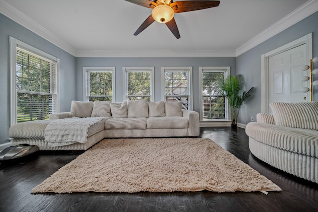 living room featuring dark hardwood / wood-style floors, ceiling fan, and crown molding