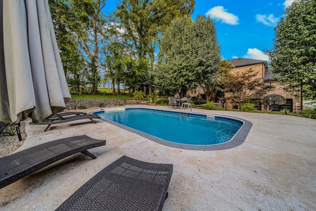 view of pool featuring a patio