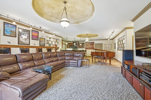 living room with rail lighting, a raised ceiling, and ornamental molding