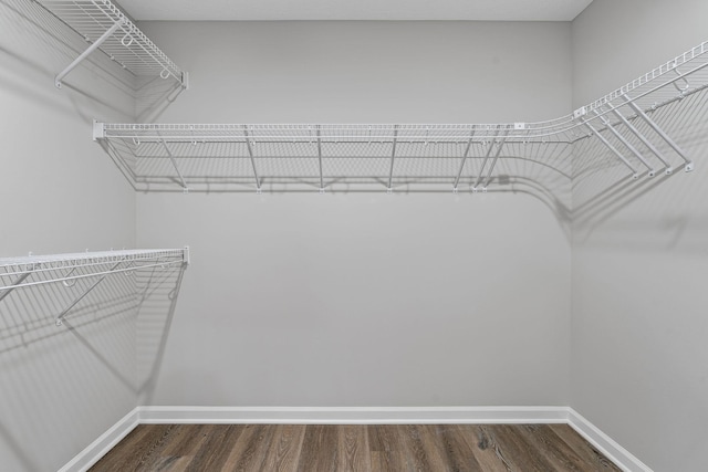 spacious closet featuring dark wood-type flooring