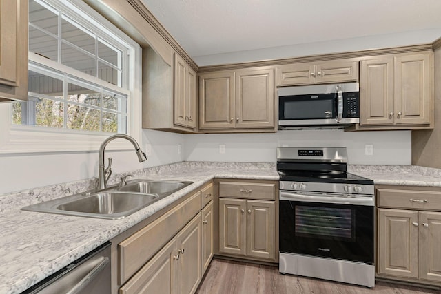 kitchen with hardwood / wood-style floors, sink, and stainless steel appliances