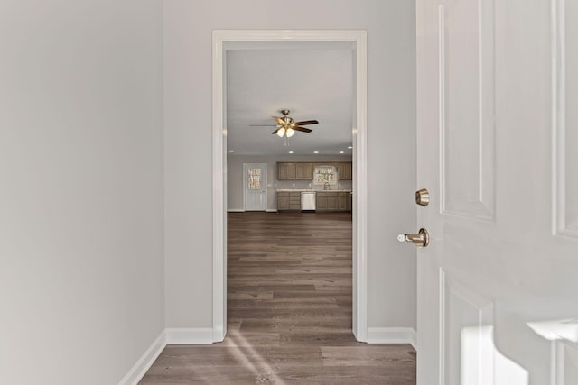 hall featuring dark hardwood / wood-style floors