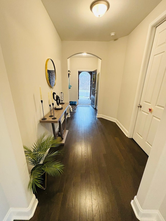 hall featuring dark hardwood / wood-style floors