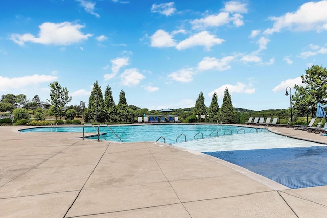 view of swimming pool with a patio