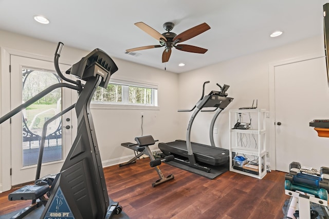 workout room with ceiling fan and dark wood-type flooring