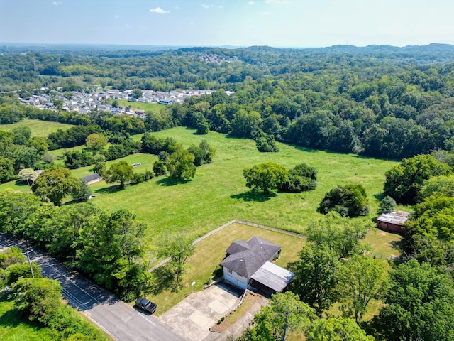 bird's eye view