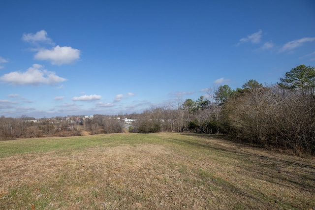 view of yard featuring a rural view