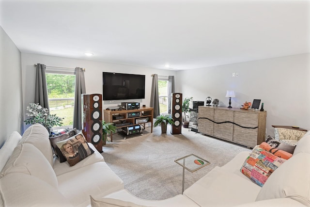 living room with a wealth of natural light and carpet