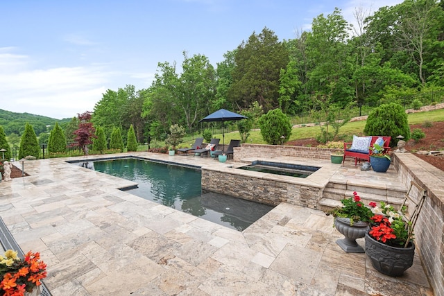 view of swimming pool featuring a patio area and an in ground hot tub