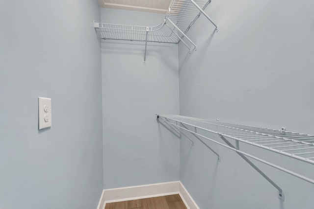 spacious closet featuring wood finished floors