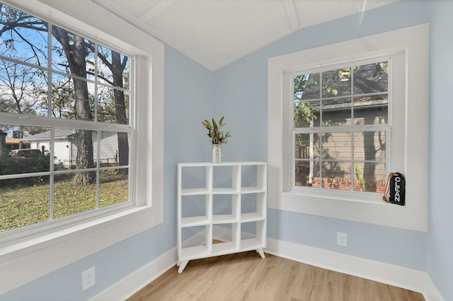 unfurnished room featuring lofted ceiling, plenty of natural light, and wood finished floors