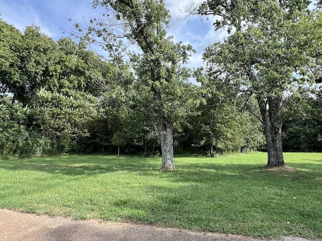 250 Chipman Rd, Bethpage, TN 37022 - photo 17