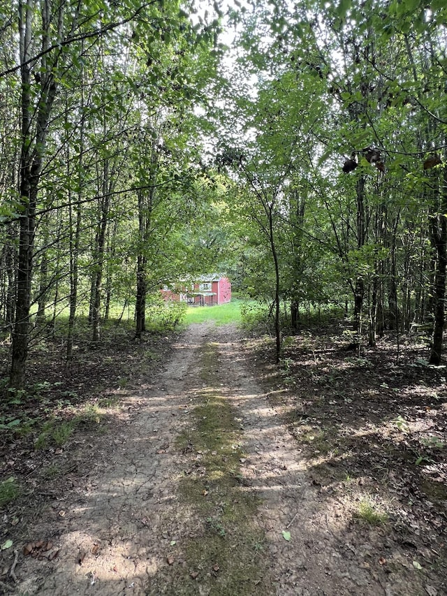 250 Chipman Rd, Bethpage, TN 37022 - photo 9