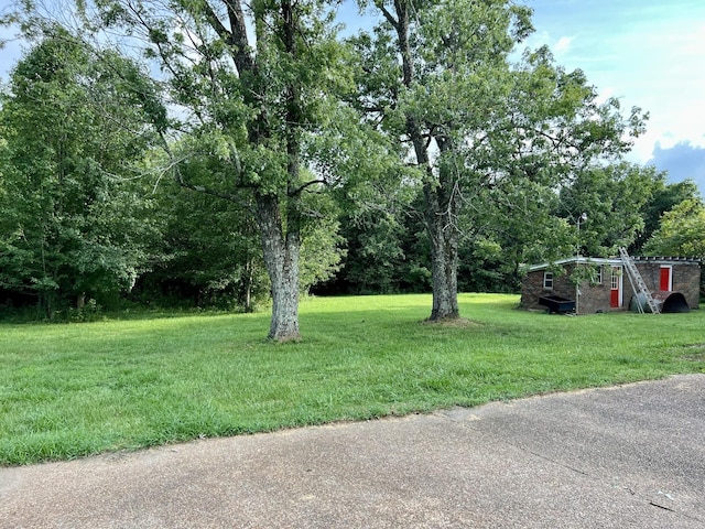 250 Chipman Rd, Bethpage, TN 37022 - photo 11