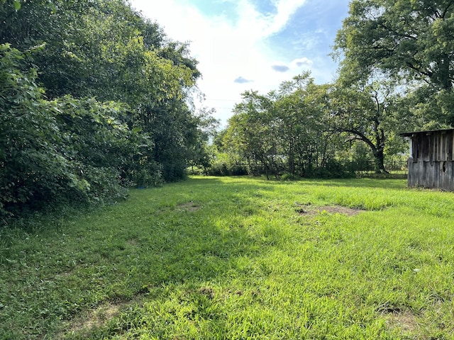 250 Chipman Rd, Bethpage, TN 37022 - view of yard