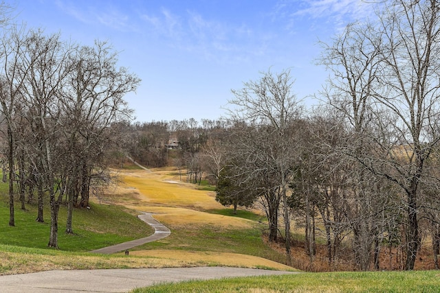 view of home's community with a yard