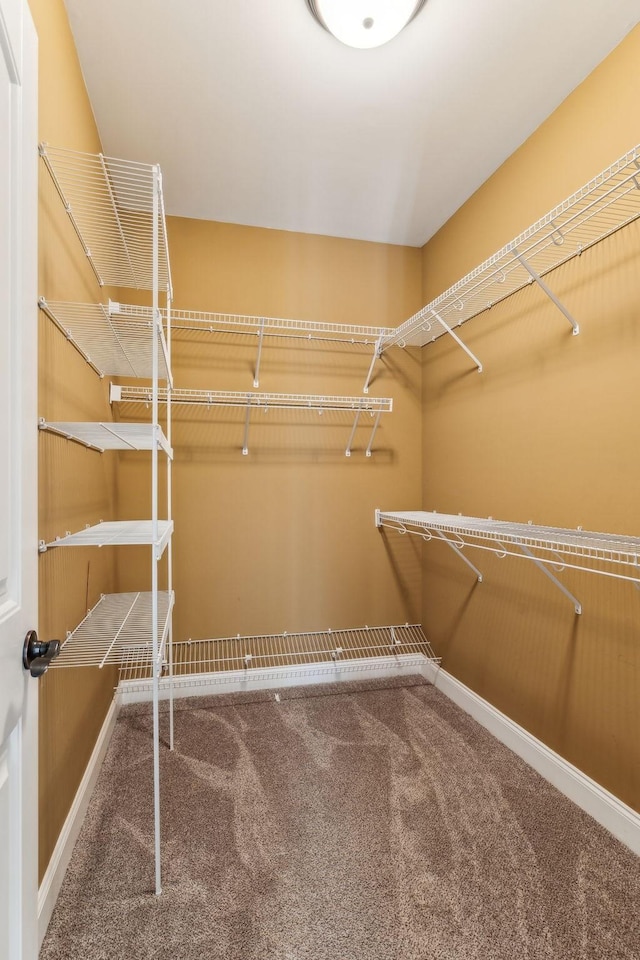 spacious closet with carpet floors