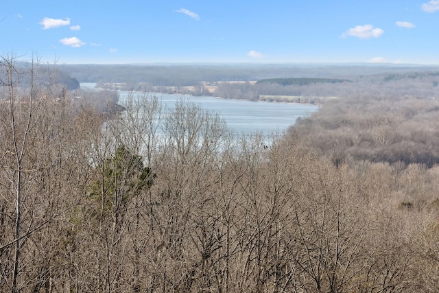 300 Rivers Edge Dr, Bath Springs, TN 38311 - photo 14