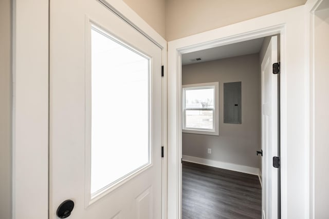 hallway with electric panel and dark hardwood / wood-style floors