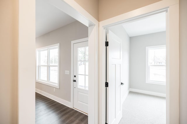 entryway featuring dark wood-type flooring