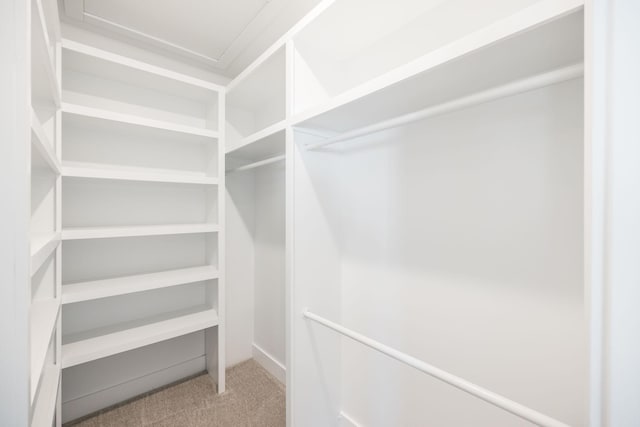 walk in closet with light colored carpet