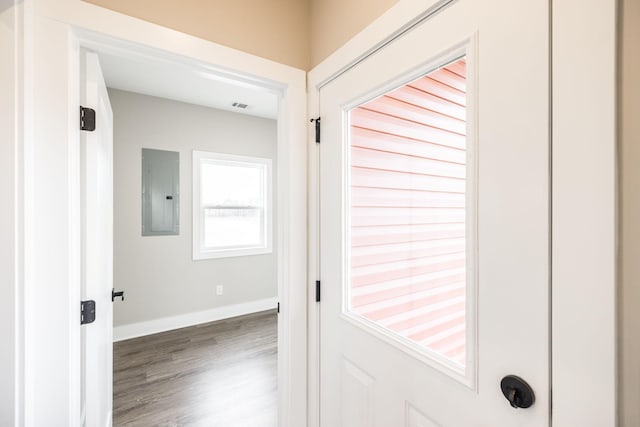 hall featuring dark hardwood / wood-style floors and electric panel