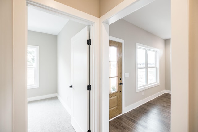 hall with dark wood-type flooring