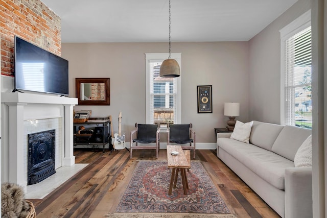 living room featuring dark hardwood / wood-style flooring