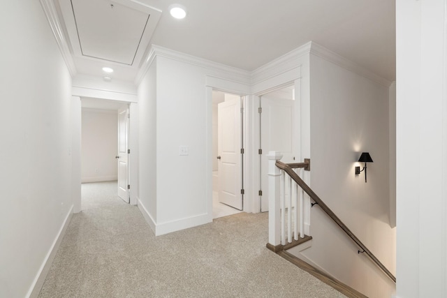 hall with light colored carpet and ornamental molding