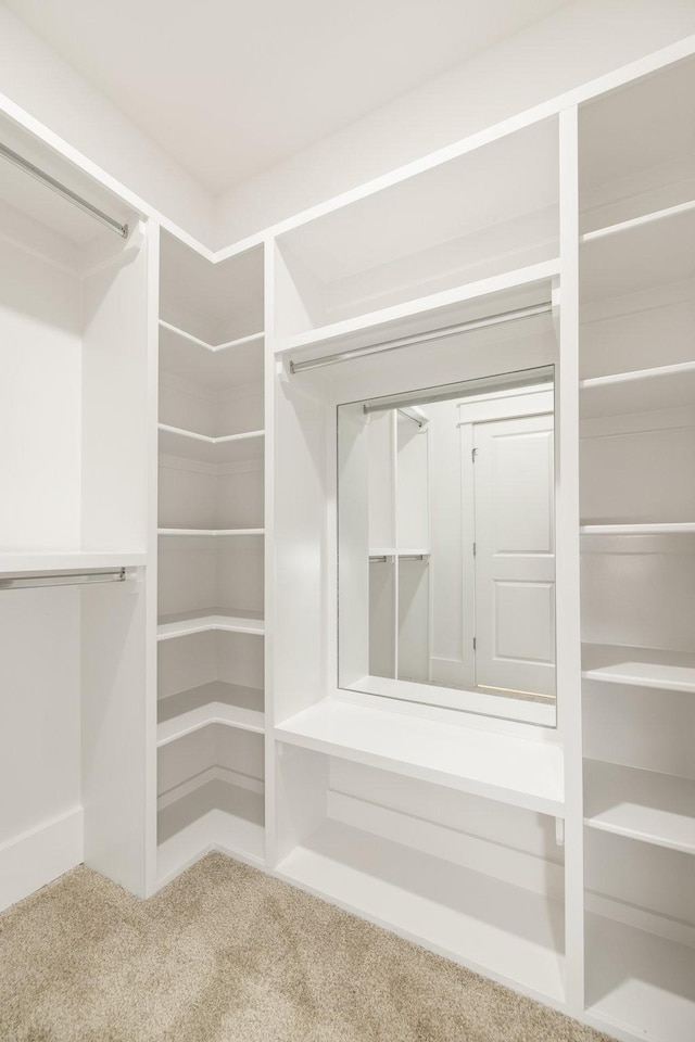 spacious closet featuring carpet floors