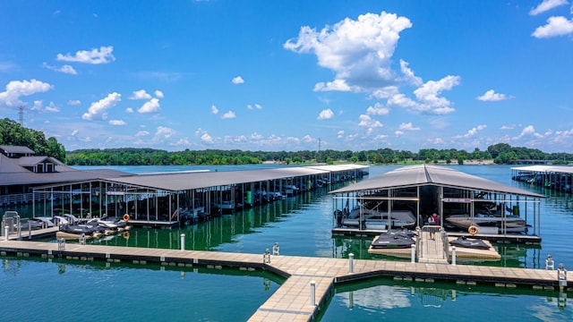 dock area with a water view