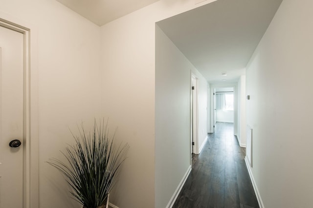 hallway with dark hardwood / wood-style flooring