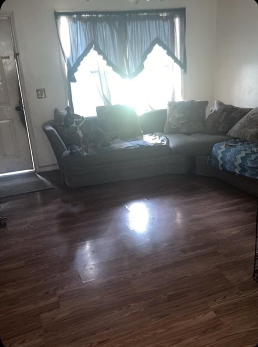 living room with dark hardwood / wood-style flooring