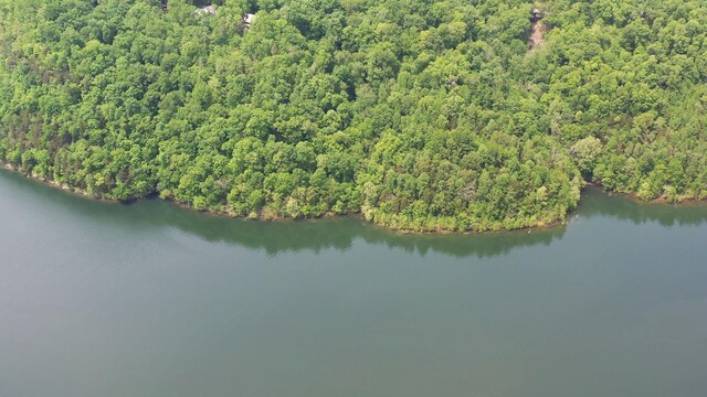 0 Indian Mound Rd, Sparta, TN 38583 - photo 4