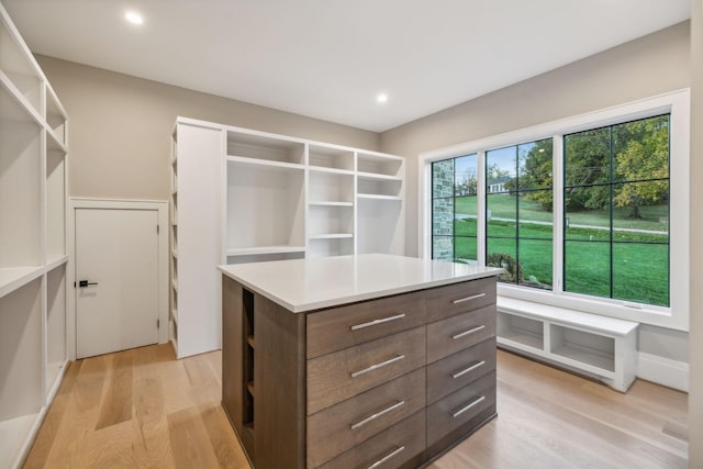 spacious closet with light hardwood / wood-style flooring