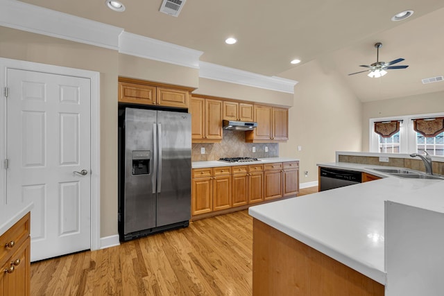 kitchen with lofted ceiling, sink, ceiling fan, decorative backsplash, and stainless steel appliances