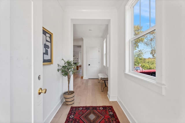 hallway featuring crown molding and light wood-type flooring