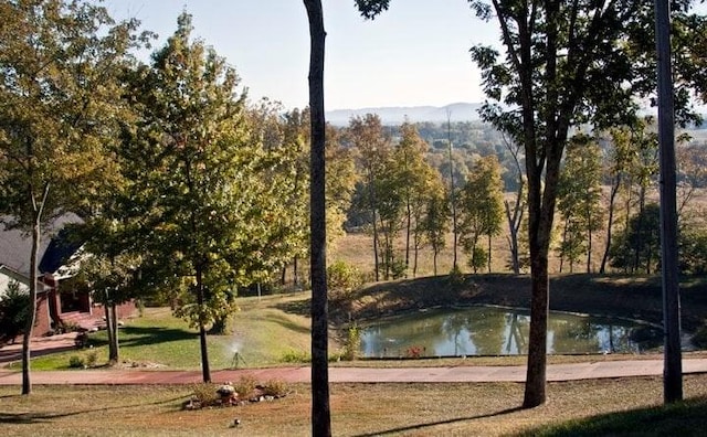 property view of water