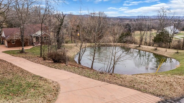 view of water feature