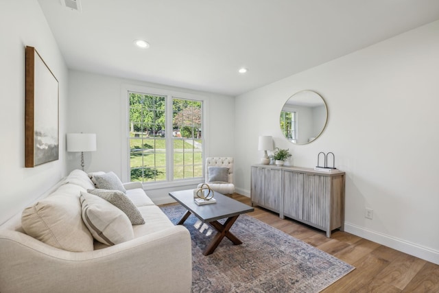 living room with hardwood / wood-style flooring