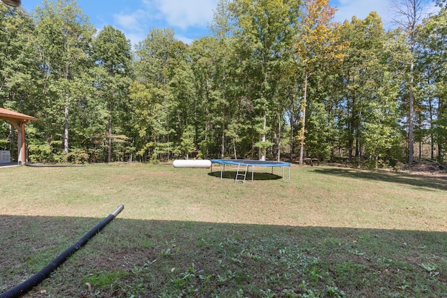 view of yard featuring a trampoline