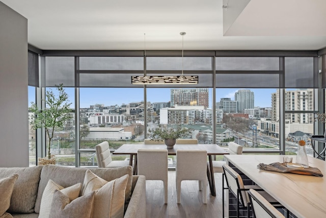 dining room with hardwood / wood-style flooring and expansive windows