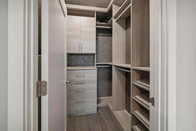 walk in closet with dark hardwood / wood-style floors