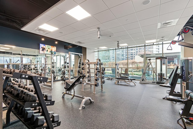 workout area featuring a drop ceiling, a healthy amount of sunlight, and a wall of windows